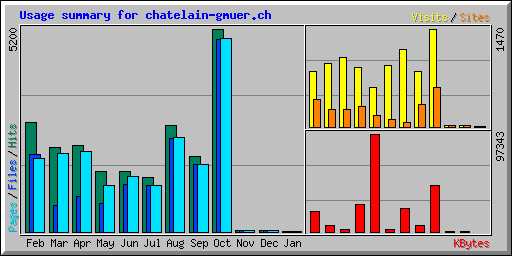 Usage summary for chatelain-gmuer.ch